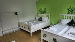 Dschungel-Apartment Steubenstr 13